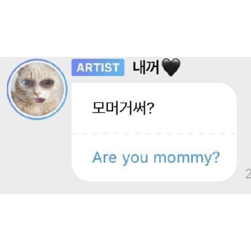 Stray kids stickers 8 2