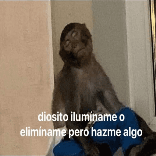 Animalitos 11