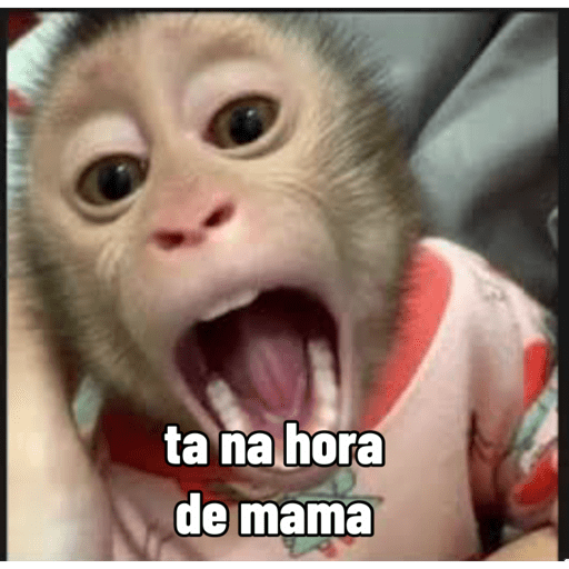 Cocorico  26