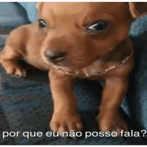Oi posso fala 23