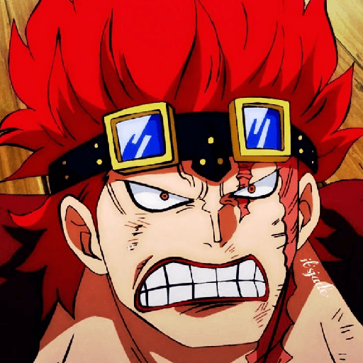 Eustass kid 11