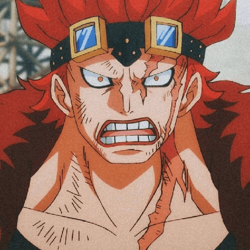 Eustass kid 22