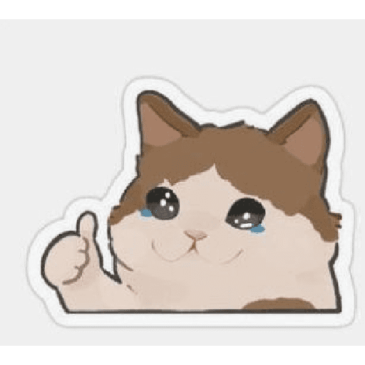 😺👍 michis michis  18