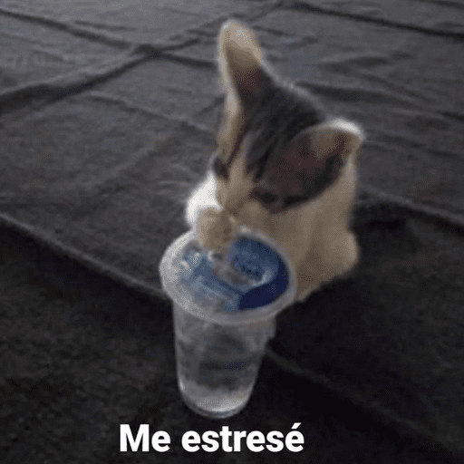 Animalitos 14