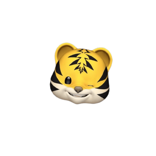 Memoji 17