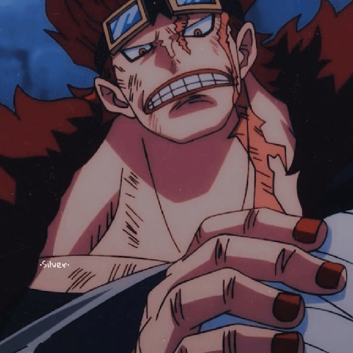 Eustass kid 8