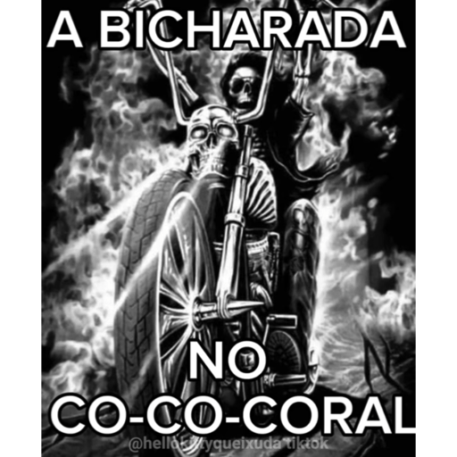 Cocorico  13