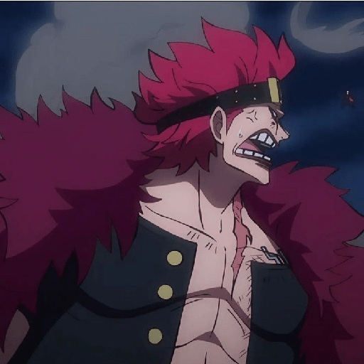 Eustass kid 10