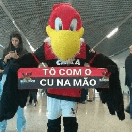 FLAMENGO  5