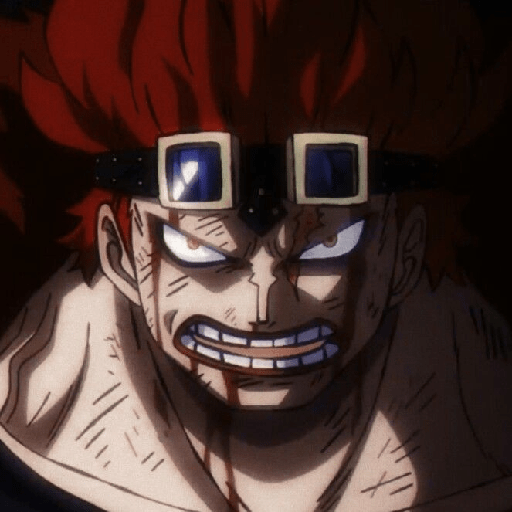 Eustass kid 13