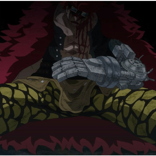Eustass kid 24