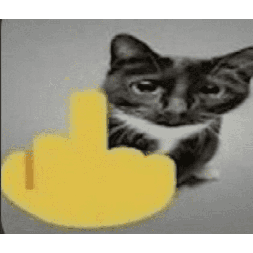 😺👍 michis michis  25