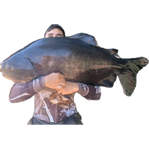 Shalom Fishing 2026 7