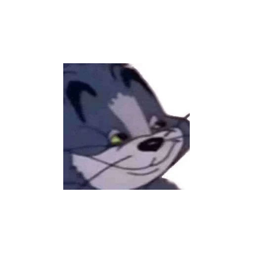 .XD.7 24