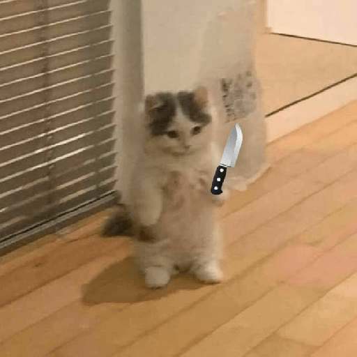 Kucing  6