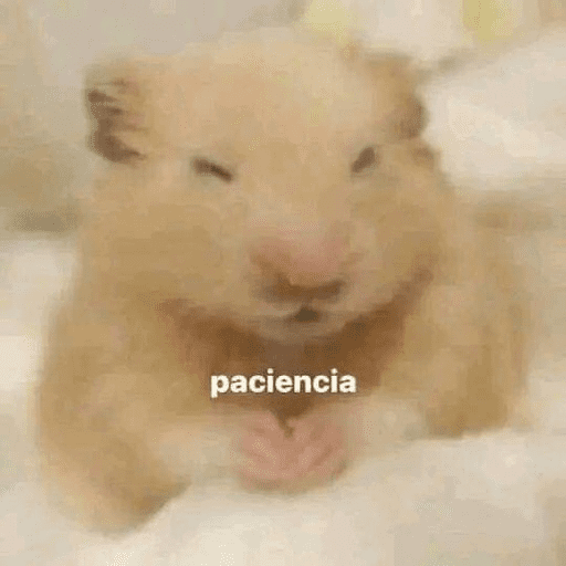 Animalitos 13