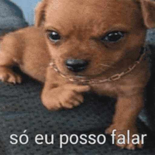 Oi posso fala 26