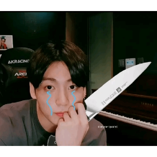 BTS y ARMYS 14 19