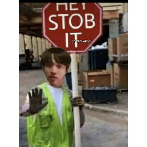 BTS y ARMYS 14 8