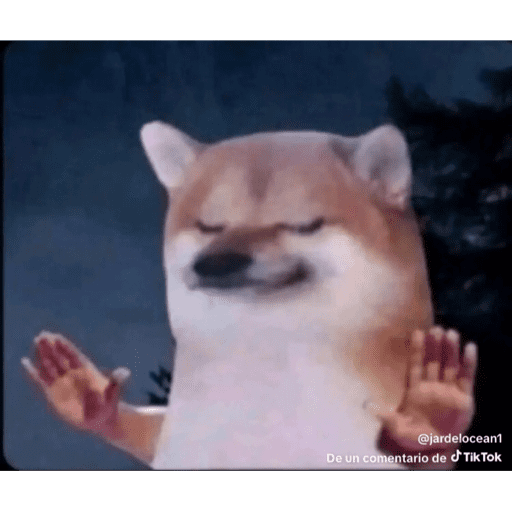 Jajaja 8