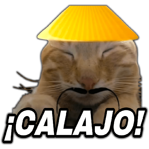 🤣Memes💥Trending😂 1