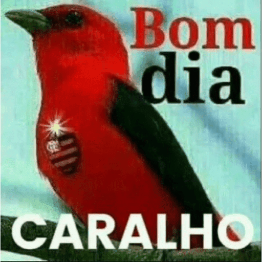 FLAMENGO  13