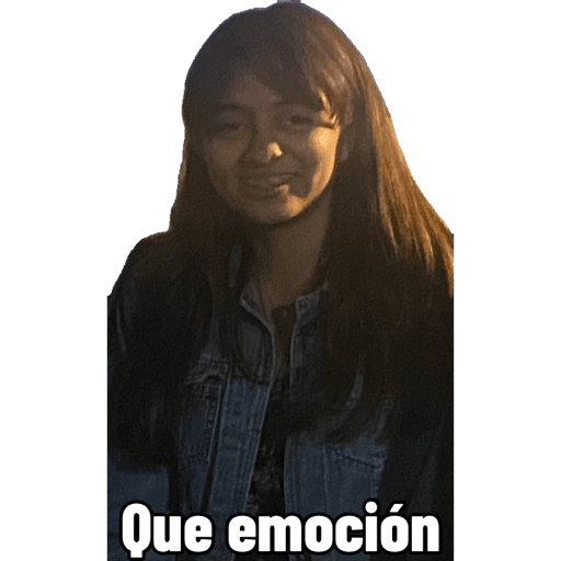 Mis pegatinas 13