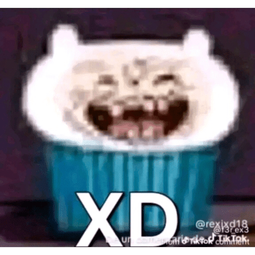 Jajaja 17