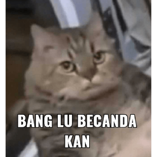 Meme Indonesia (random)🦹🏻‍♀️🌱 7