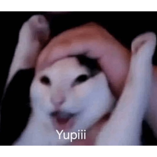 Jsjsjsj 6