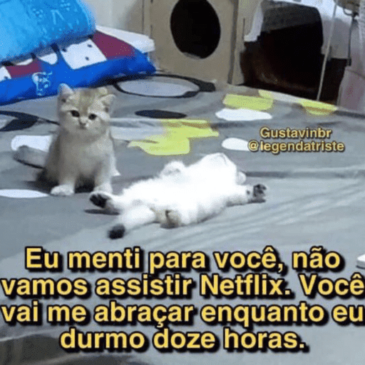 Camilla linda maravilhosa 13