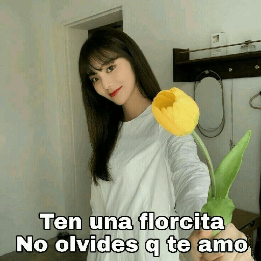 Kpop memes  3