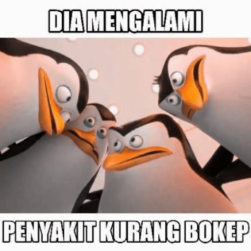Penguin bokep 8