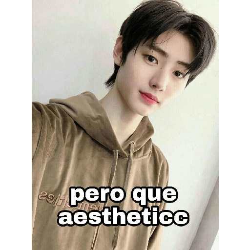 Kpop memes  7