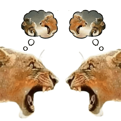 Reaction memes 26