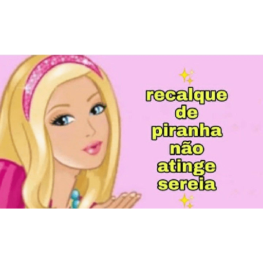 Indiretas da barbie  6