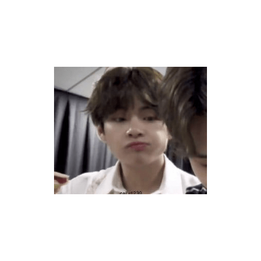 Bts memes 11