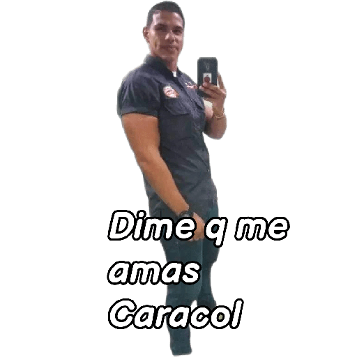 Stickers  11