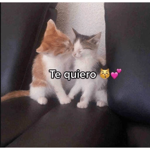 Argie rosalía  6