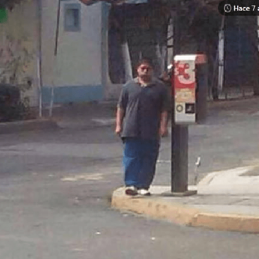 Cola de perro  4