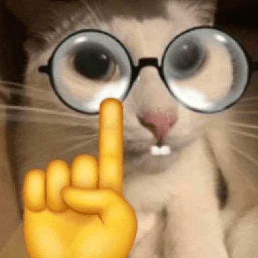 Gatinhos  1