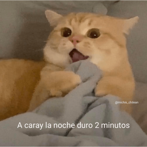 Argie rosalía  4