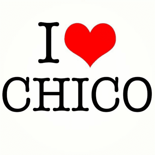 Chico moedas  2