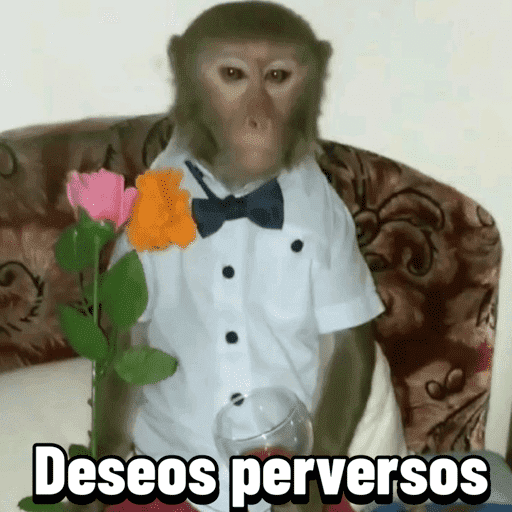 Monitos 11 6