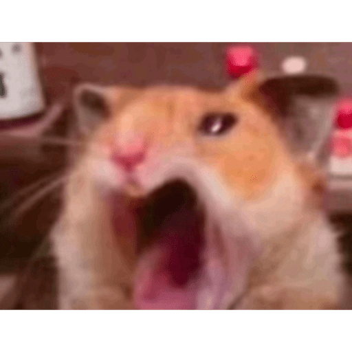 Tiktok 18