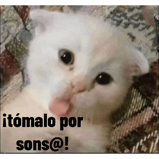 Animales ramdom 3