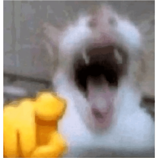 Tiktok 3