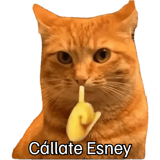 Stickers  30