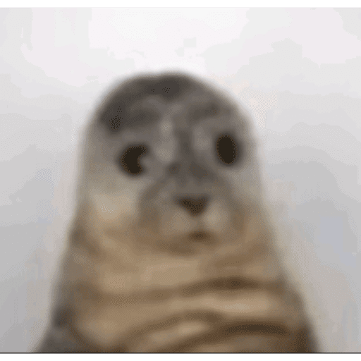 Tiktok 11