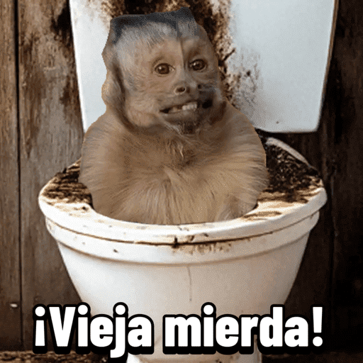 Monitos 11 5